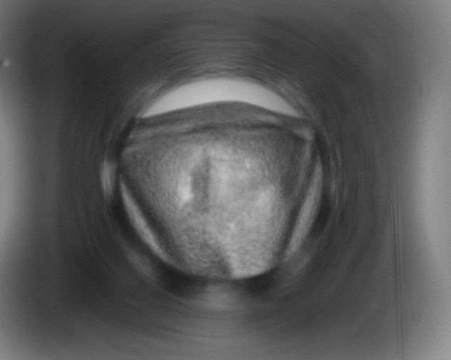 X0000085290070200703301947