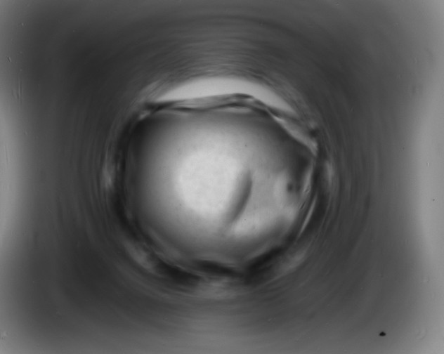 X0000085290072200703301947