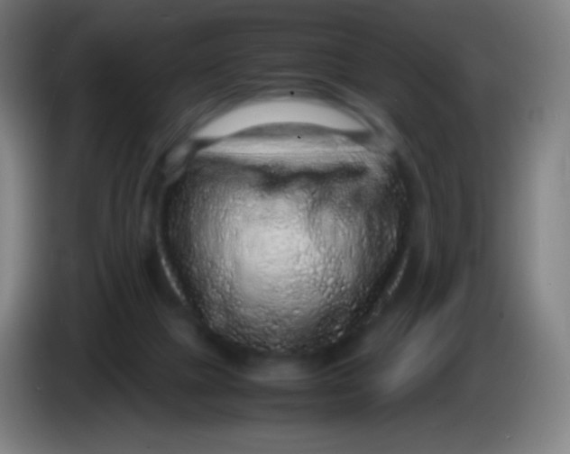 X0000085290073200703301947