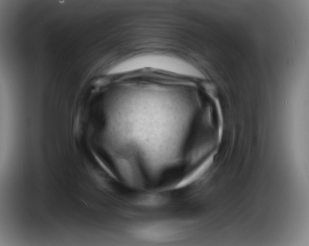 X0000085290074200703301947