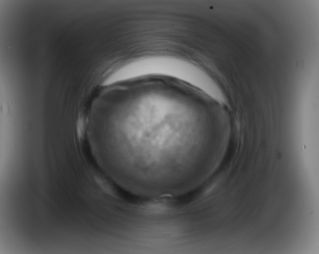 X0000085290076200703301947