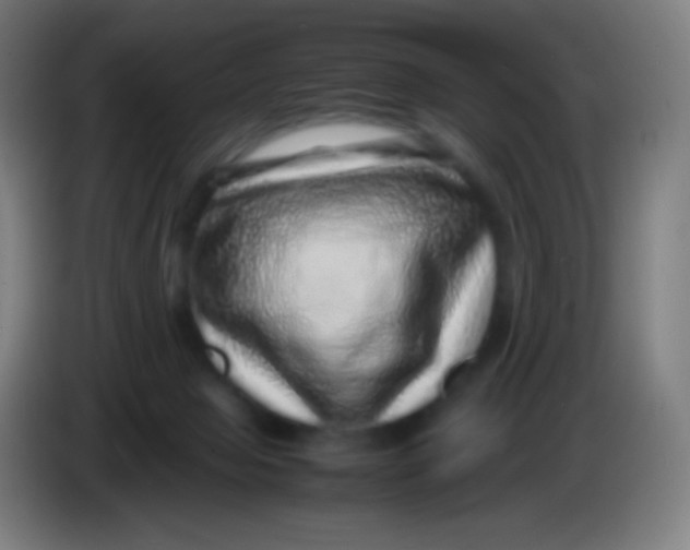 X0000085290077200703301947