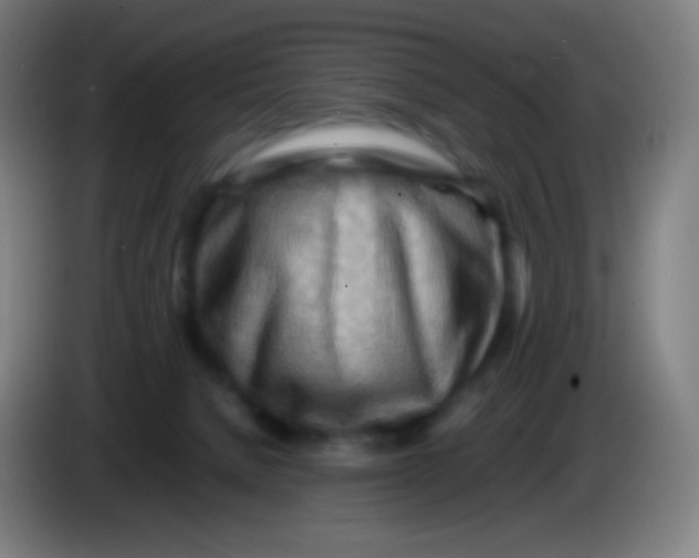 X0000085290080200703301947