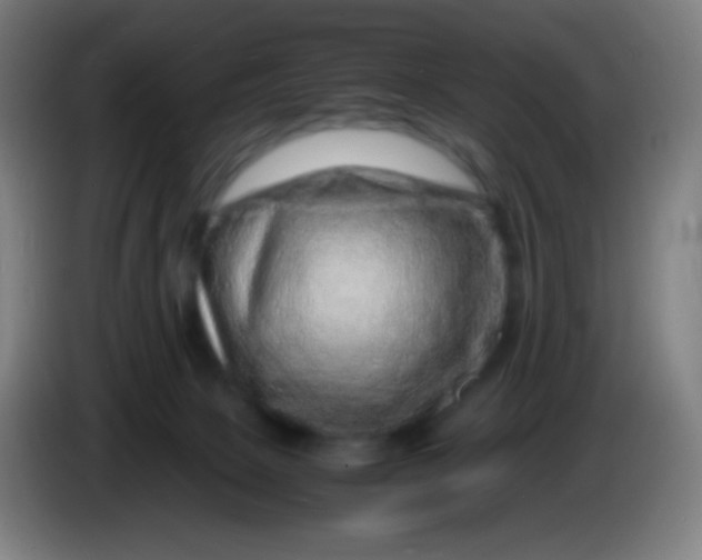 X0000085290081200703301947