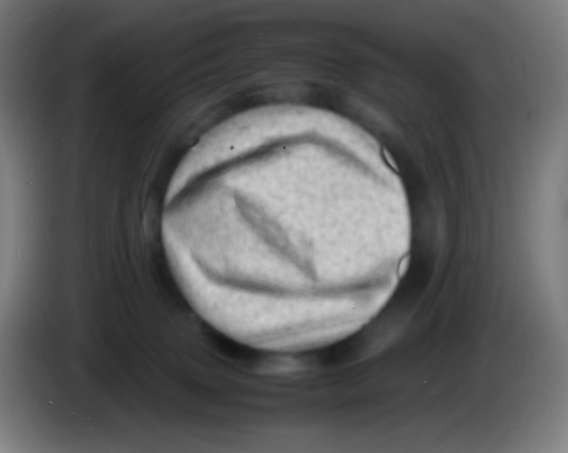 X0000085290083200703301947