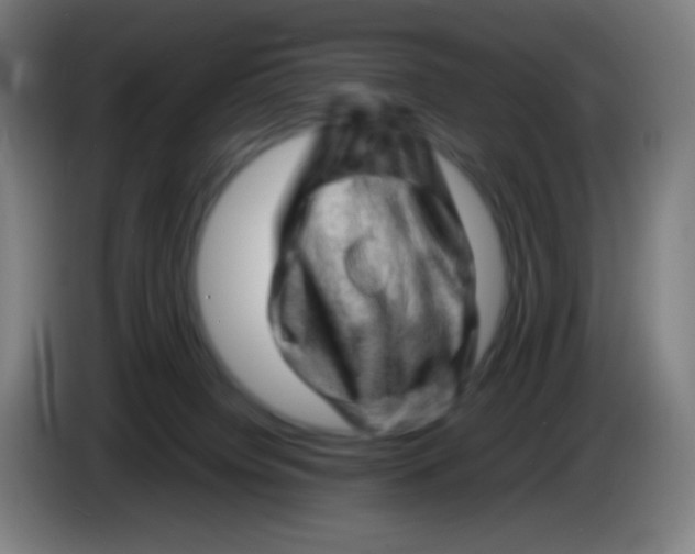 X0000085290084200703301947