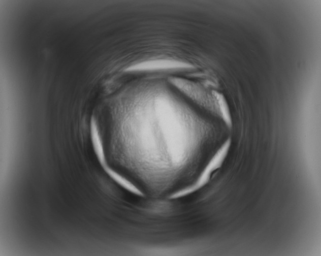 X0000085290085200703301947