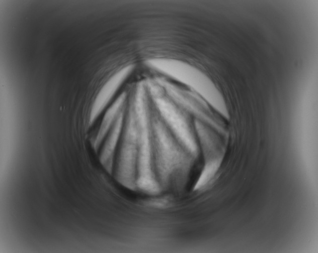 X0000085290086200703301947