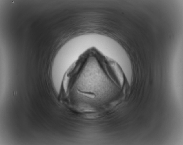 X0000085290088200703301947