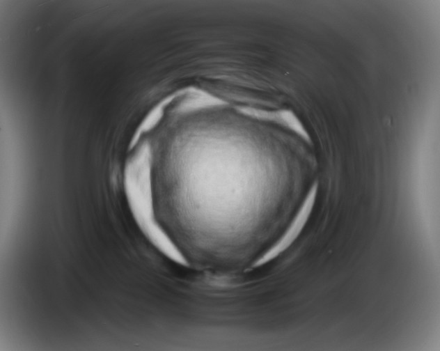X0000085290089200703301947