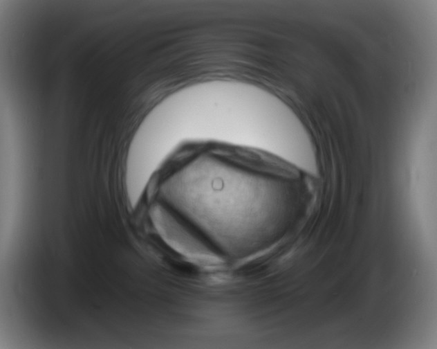 X0000085290092200703301947