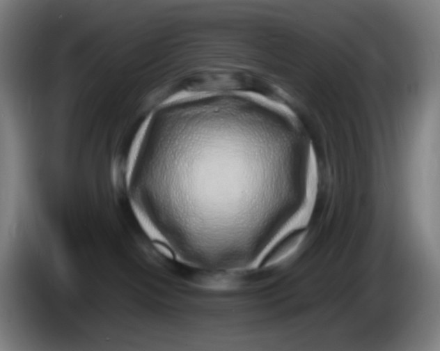 X0000085290094200703301947