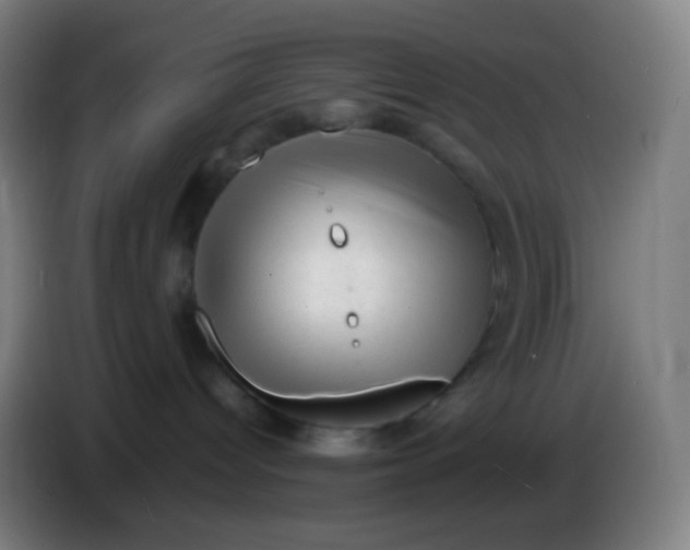 X0000085290096200703301947