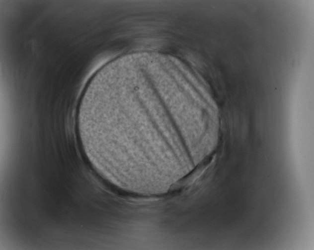 X0000085290100200703301947