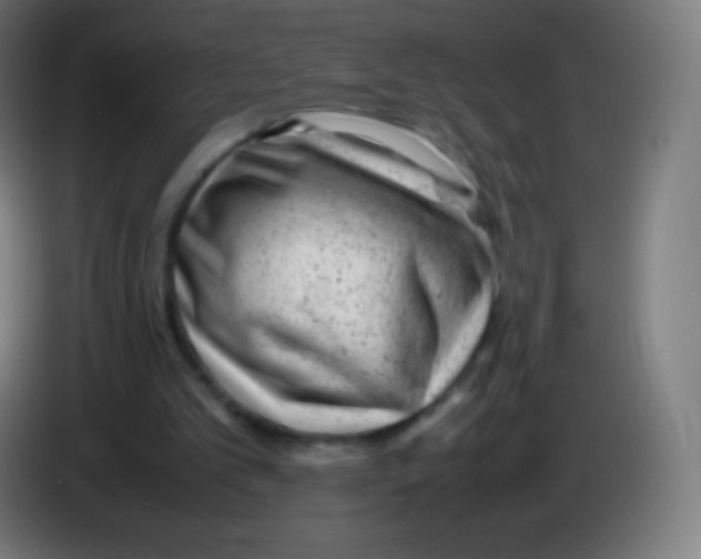 X0000085290101200703301947
