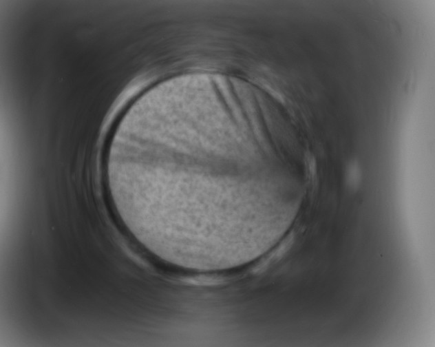 X0000085290102200703301947