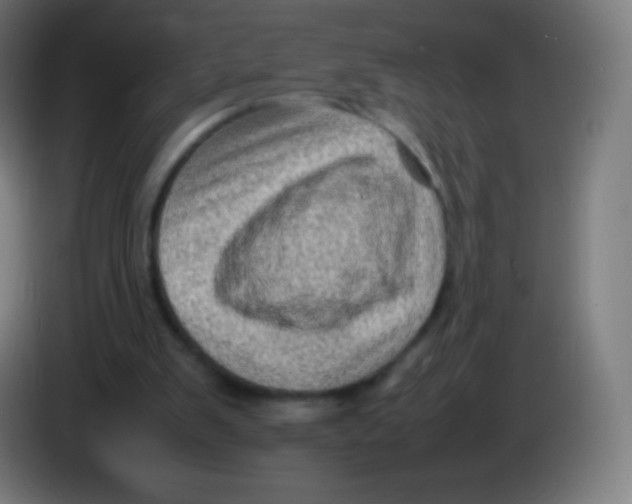 X0000085290103200703301946