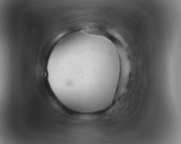 X0000085290105200703301946