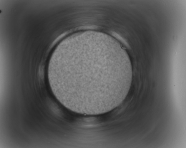 X0000085290108200703301946