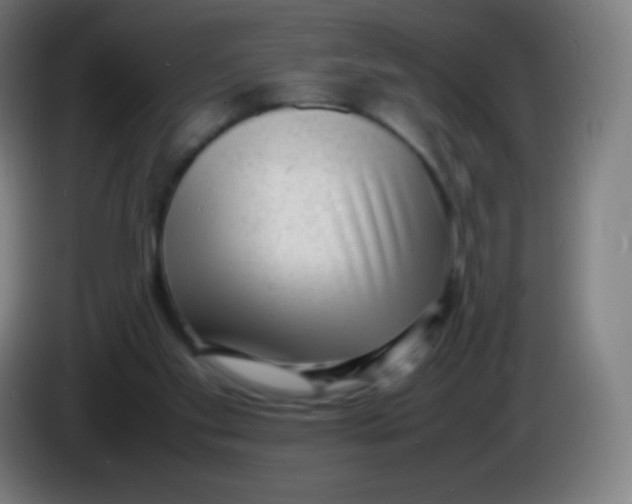 X0000085290109200703301946
