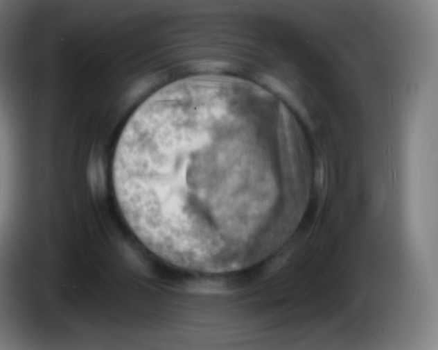 X0000085290110200703301946