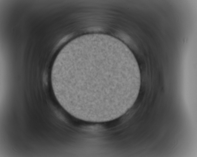 X0000085290112200703301946