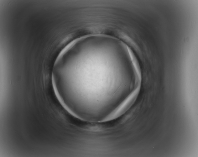X0000085290113200703301946