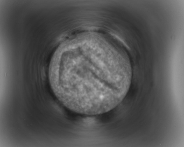 X0000085290114200703301946