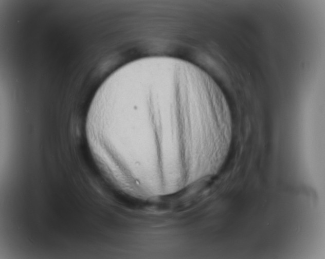 X0000085290115200703301946