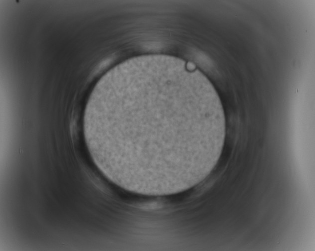 X0000085290116200703301946