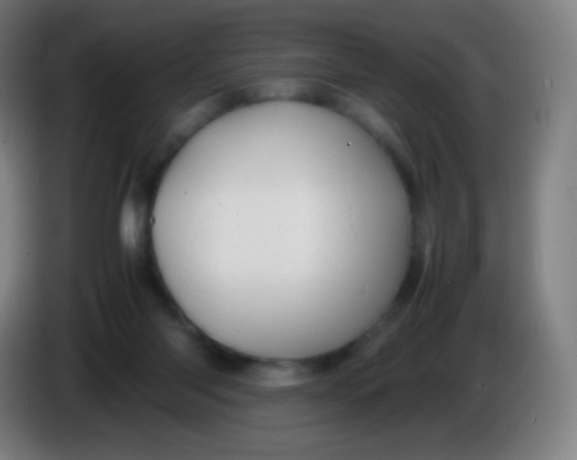 X0000085290118200703301946