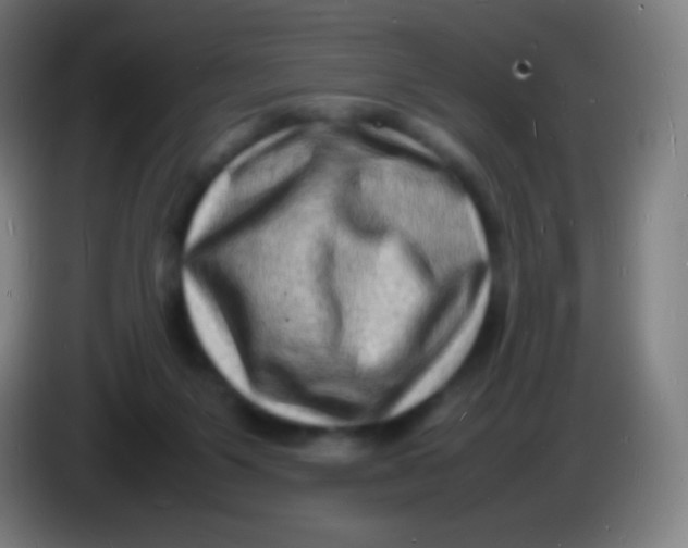 X0000085290119200703301946