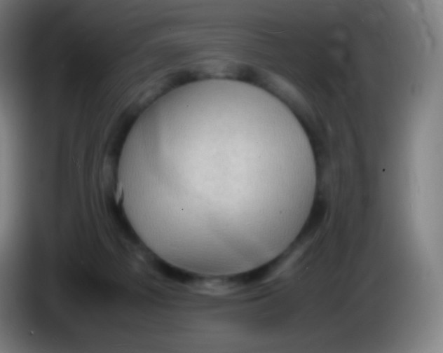 X0000085290121200703301946