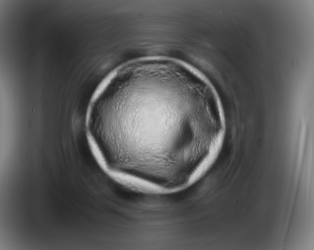 X0000085290123200703301946