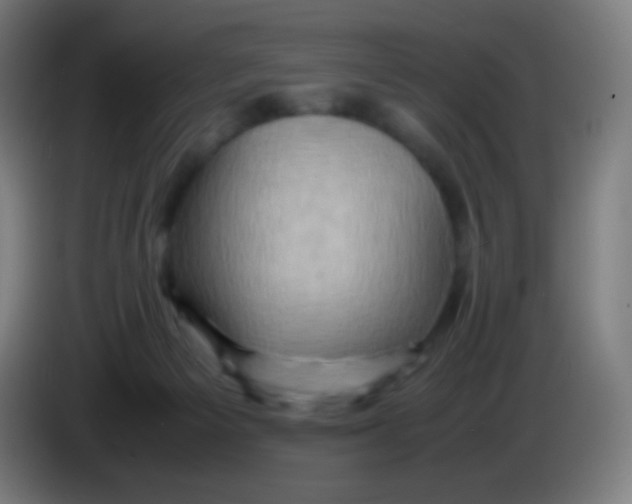 X0000085290125200703301946