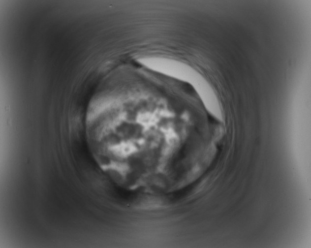X0000085290127200703301946