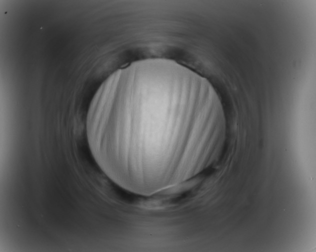 X0000085290129200703301946