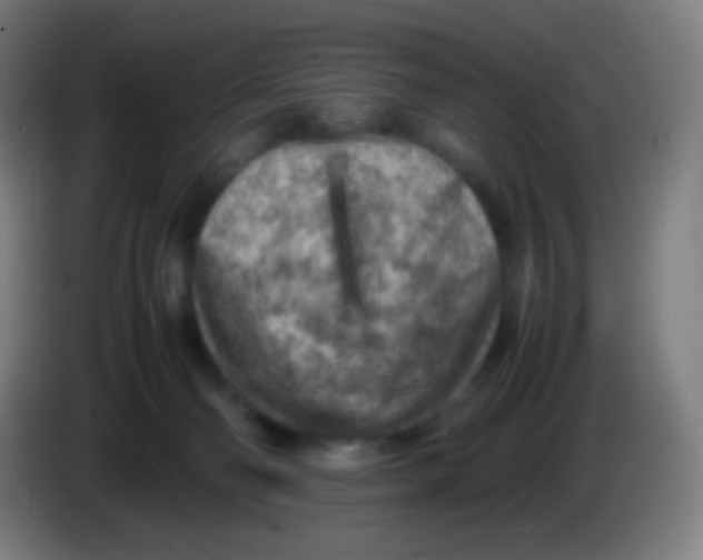 X0000085290130200703301946