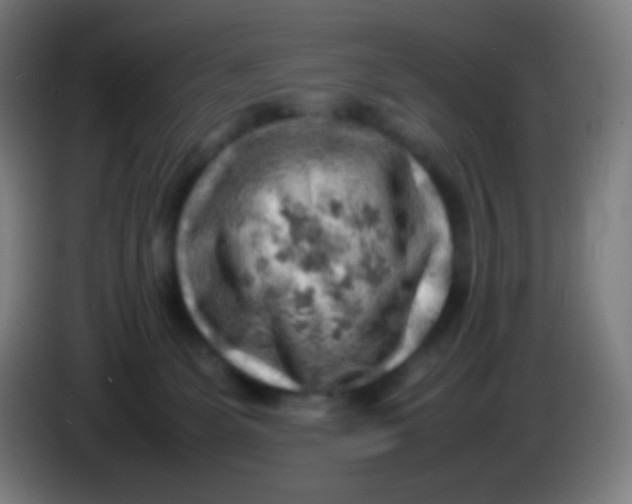 X0000085290131200703301946