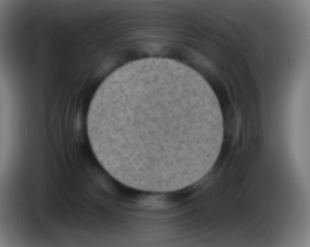 X0000085290132200703301946