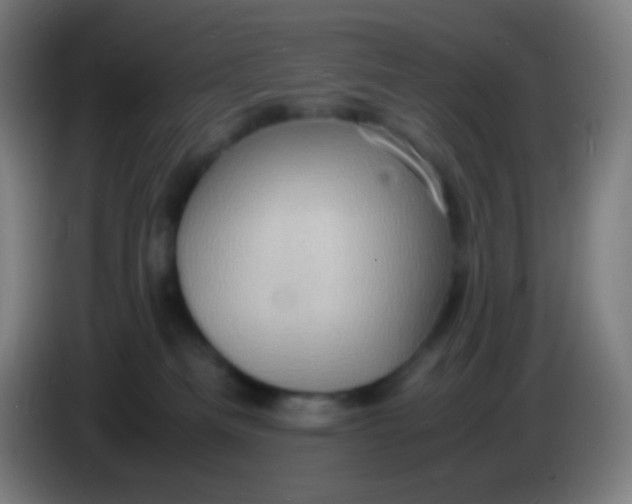 X0000085290133200703301946