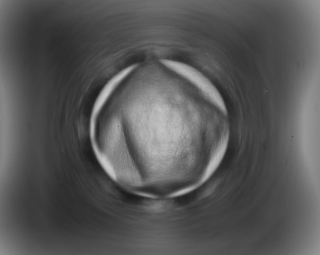 X0000085290135200703301946