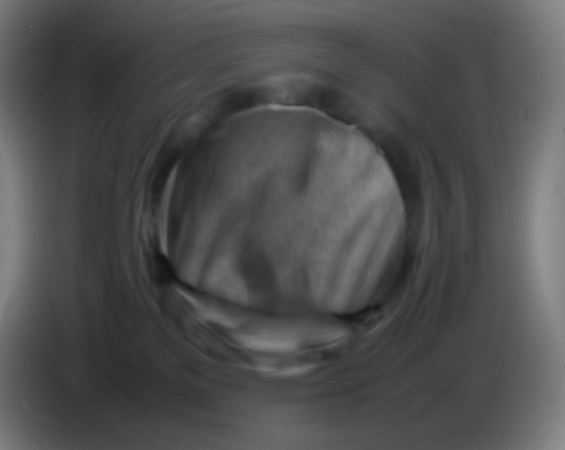 X0000085290137200703301946