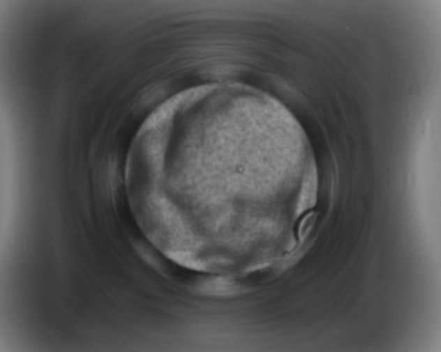 X0000085290140200703301946