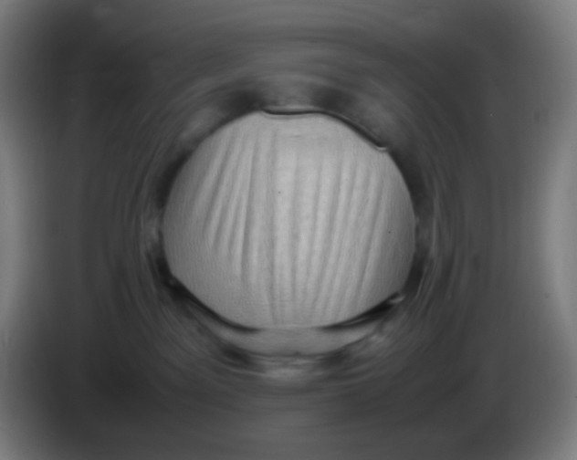 X0000085290141200703301946