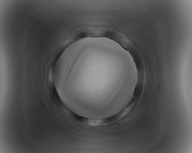 X0000085290143200703301946