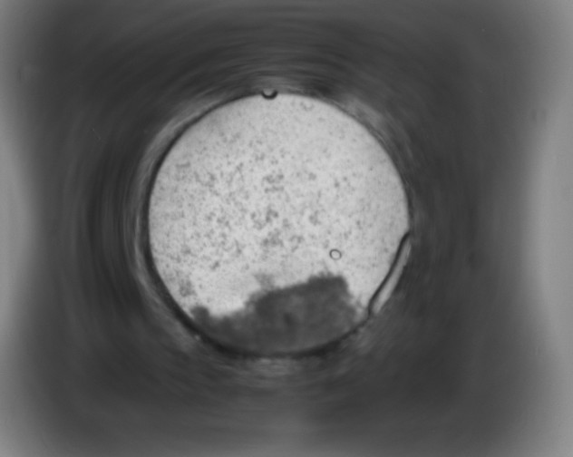 X0000085290145200703301945