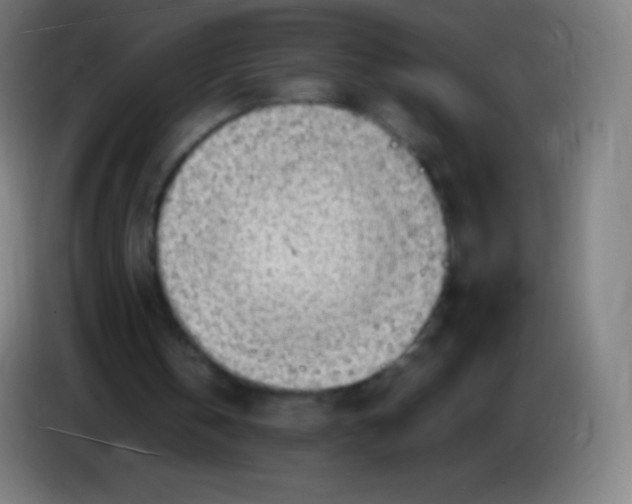 X0000085290146200703301945