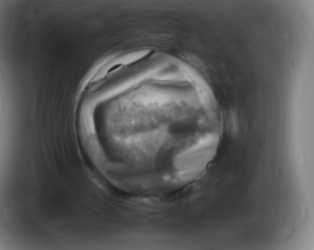 X0000085290147200703301945