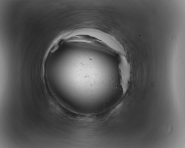 X0000085290148200703301945
